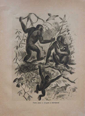 Киртон Ч. Мои весёлые друзья / Пер. А. Кривцовой и Л. Ланской, рис. В. Ватагина. [М.], 1935.